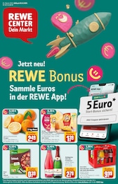 REWE Prospekt "Dein Markt" für Salzgitter, 34 Seiten, 30.12.2024 - 04.01.2025