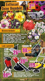 Hornbach Einhell im Prospekt 