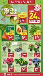 Salat Angebot im aktuellen ALDI Nord Prospekt auf Seite 29