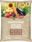 Hornspäne Angebote von Grandiol bei Lidl Bottrop für 5,99 €