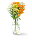 Chrysanthemen-Santini-Mix im Kaufland Prospekt Chrysanthemen-Santini-Mix im aktuellen Kaufland Prospekt für 3,99 €