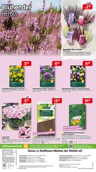 Alpenveilchen im Raiffeisenmarkt Prospekt "Gartenfreude im Herbst" mit 8 Seiten (Bremen)
