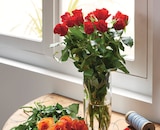 Bouquet 15 Roses 50 cm en promo à 8,99 € chez Intermarché Super Bouquet 15 Roses 50 cm dans le catalogue Intermarché Super