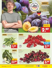 Bohnen im Netto Marken-Discount Prospekt in Münster Aktueller Netto Marken-Discount Prospekt mit Bohnen, "Aktuelle Angebote", Seite 37
