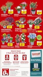 Bratpfanne Angebot & Preis im aktuellen toom Baumarkt Prospekt Bratpfanne Angebot im aktuellen toom Baumarkt Prospekt auf Seite 2