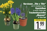 Narzissen 'Tête a Tête' im Angebot bei EDEKA in Straubing Narzissen 'Tête a Tête' Angebote bei EDEKA Straubing für 1,99 €