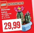 Blühender Kaktus bei Kaufhaus Stolz im Büsum Prospekt für 29,99 €