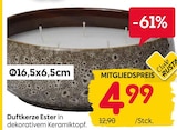 Angebot im Rusta Tasdorf Prospekt Rusta Tasdorf Prospekt mit im Angebot für 4,99 €