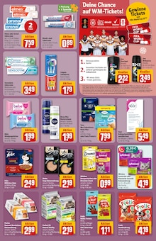 Katzenfutter im REWE Prospekt "Dein Markt" mit 32 Seiten (Nürnberg)