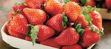 Intermarché Hyper Louviers - Promo Fraise Ronde Promo Fraise Ronde à 2,99 € dans le catalogue Intermarché Hyper à Louviers