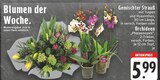 Gemischter Strauß oder Orchideen Angebote bei E center Hückelhoven für 5,99 €