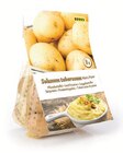 Pflanzkartoffeln Angebote von Solanum tuberosum bei Lidl Wolfsburg für 1,79 €