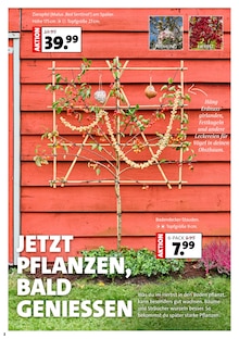Blumen Ostmann Bad Zwischenahn Prospekt der aktuellen Woche, gültig von 20.09.2025 bis 26.09.2025 Aktueller Blumen Ostmann Bad Zwischenahn Prospekt "MACH DEINEN GARTEN HERBST-FIT" mit 8 Seiten