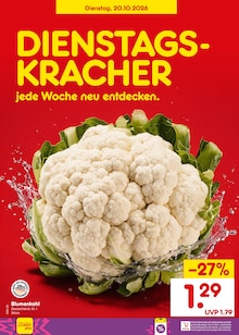 Waschmittel im Netto Marken-Discount Prospekt "Aktuelle Angebote" mit 70 Seiten (Bochum)