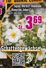 Angebot im Hornbach Aichwald Prospekt Hornbach Aichwald Prospekt mit im Angebot für 3,69 €