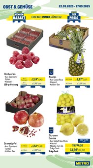 Äpfel im aktuellen METRO Prospekt (Oldenburg) Äpfel im METRO Prospekt "Wochenangebote Gastro + Gewinnspiel + MonatsMenü" mit 42 Seiten (Oldenburg)