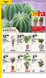 Cactus Angebote im Prospekt "À vos marques à prix LIDL !" von Lidl auf Seite 32