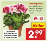 Becherprimel Angebote bei Netto Marken-Discount Bremerhaven für 2,99 €