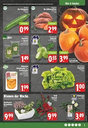 Blumentopf im EDEKA Prospekt in Hückelhoven Aktueller EDEKA Prospekt mit Blumentopf, "Aktuelle Angebote", Seite 3