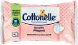 Feuchtes Toilettenpapier im Angebot bei Netto Marken-Discount in Rostock Feuchtes Toilettenpapier Angebote von Cottonelle bei Netto Marken-Discount Rostock für 1,19 €