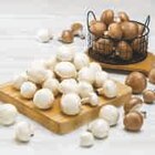 Champignon blanc ou blond de Paris pied entier dans le catalogue Super U