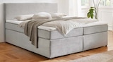 Boxspringbett „Leia“ für 499,00 € bei porta Möbel im Angebot Boxspringbett „Leia“ im aktuellen porta Möbel Prospekt