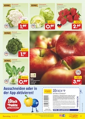 Blumenkohl im Netto Marken-Discount Prospekt in Düsseldorf Aktueller Netto Marken-Discount Prospekt mit Blumenkohl, "Aktuelle Angebote", Seite 13