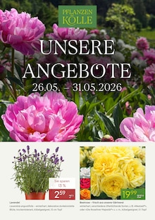 Pflanzen im aktuellen Pflanzen Kölle Prospekt (Nürnberg) Pflanzen im Pflanzen Kölle Prospekt "UNSERE ANGEBOTE" mit 5 Seiten (Nürnberg)