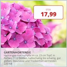 Angebot im BBM Baumarkt Rhauderfehn Prospekt BBM Baumarkt Rhauderfehn Prospekt mit im Angebot für 17,99 €