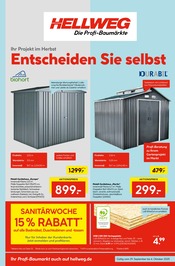 Ähnliches Angebot bei Hellweg in Prospekt "Die Profi-Baumärkte" gefunden auf Seite 1