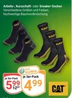 Arbeits-, Kurzschaft- oder Sneaker-Socken im Angebot bei GLOBUS in Hof Arbeits-, Kurzschaft- oder Sneaker-Socken Angebote von CAT bei GLOBUS Hof für 4,99 €