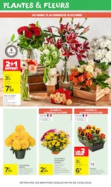 Promos Fleurs Artificielles dans le catalogue "AU COEUR DU GOÛT" de Carrefour Market Fleurs Artificielles en promo dans le catalogue Carrefour Market à la page 49