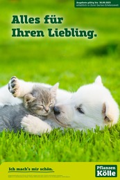 Aktueller Pflanzen Kölle Prospekt, "Alles für Ihren Liebling!", mit Angeboten der Woche, gültig von 01.09.2023 bis 01.09.2023