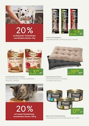 Pflanzen Kölle Hundebett im Prospekt 