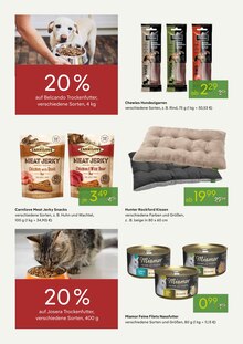 Huhn im Pflanzen Kölle Prospekt "VALENTINSTAG" mit 14 Seiten (München)