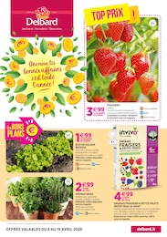 Prix et réduction Arbuste dans le prospectus Delbard en cours Offre Arbuste dans le catalogue Delbard du moment à la page 1
