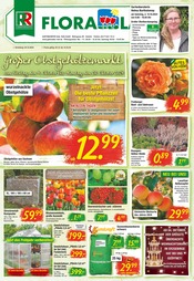 Aktueller Gartencenter Garten & Pflanzen Prospekt in Bockau und Umgebung, "Großer Obstgehölzemarkt" mit 8 Seiten, 04.10.2024 - 14.10.2024