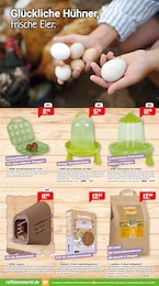 Eier Angebot im aktuellen Raiffeisenmarkt Prospekt auf Seite 7