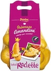 Aktuelle Kartoffeln Angebote bei Netto mit dem Scottie in Dresden Aktuelles Kartoffeln Princesse Amandine Angebot bei Netto mit dem Scottie in Dresden ab 1,69 €