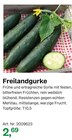 Freilandgurke bei BayWa AG im Lauterach Prospekt für 2,69 €