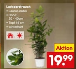 Netto Marken-Discount Winterberg Prospekt mit  im Angebot für 19,99 €