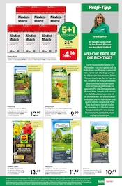 Grabpflege im BayWa Bau- und Gartenmärkte Prospekt in Reutlingen Aktueller BayWa Bau- und Gartenmärkte Prospekt mit Grabpflege, "Hier bin ich gern", Seite 7