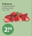Erdbeeren von  im aktuellen V-Markt Prospekt für 2,99 €
