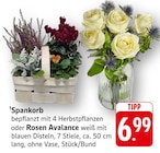 Spankorb Angebote bei EDEKA Trier für 6,99 €
