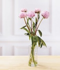 Bi1 Voujeaucourt - Promo Bouquet de 5 pivoines Promo Bouquet de 5 pivoines à 5,99 € dans le catalogue Bi1 à Voujeaucourt