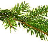 Franz. Likör im Angebot bei REWE in Recklinghausen Franz. Likör Angebote von Cointreau bei REWE Recklinghausen für 13,99 €