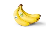 Bio-Bananen bei Penny im Wabern Prospekt für 1,79 €