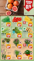 Blumen Angebot & Preis im aktuellen REWE Prospekt Blumen Angebot im aktuellen REWE Prospekt auf Seite 7