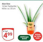 Aloe Vera im Angebot bei GLOBUS in Leipzig Aloe Vera Angebote bei GLOBUS Leipzig für 4,99 €