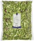 Aktuelle Salat Angebote bei METRO in Duisburg Aktuelles Salatmischung Monaco Angebot bei METRO in Duisburg ab 9,62 €